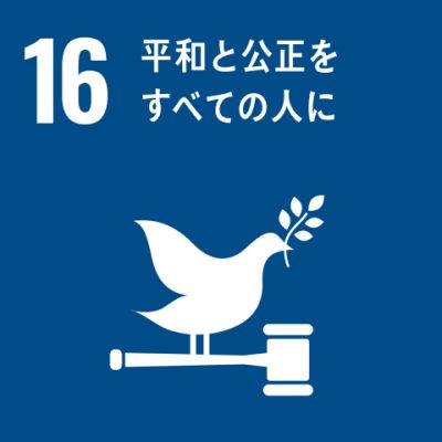 sdgs-icon